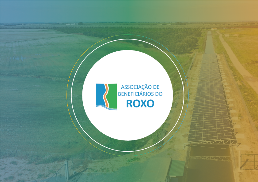 Associação Beneficiários do Roxo - Projeto de Energia Renovável